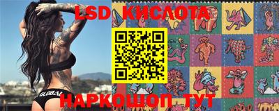 стаф Моздок