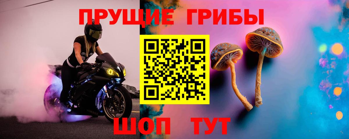 Галлюциногенные грибы прущие грибы  Вход с VPN  Псилоцибиновые грибы GOLDEN TEACHER  где найти   Хабаровск 